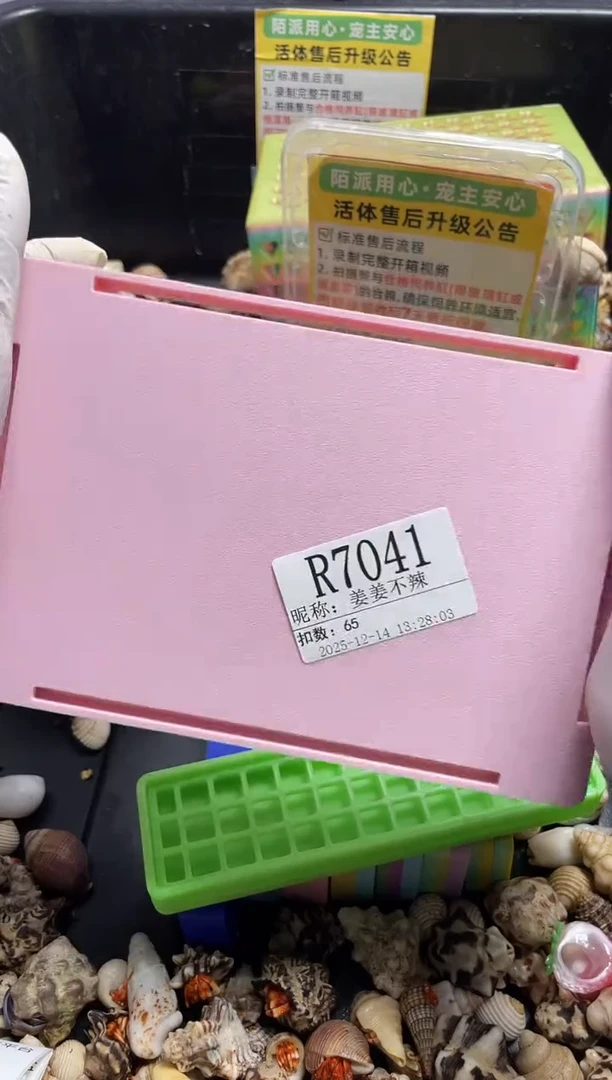 陌派帝国7041高插乐