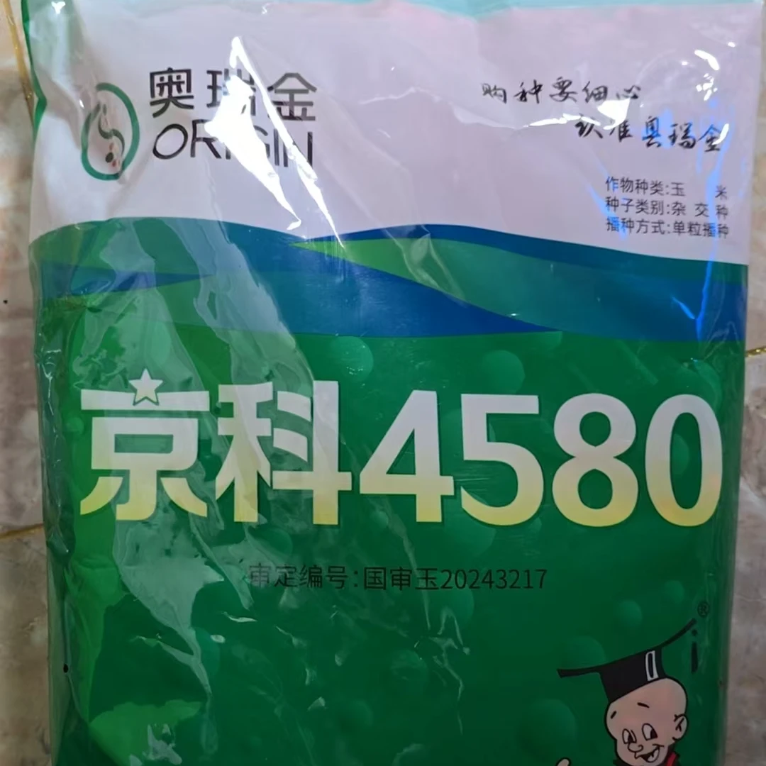 京科4580玉米种子，积温2750以上，种植密度4000株每亩