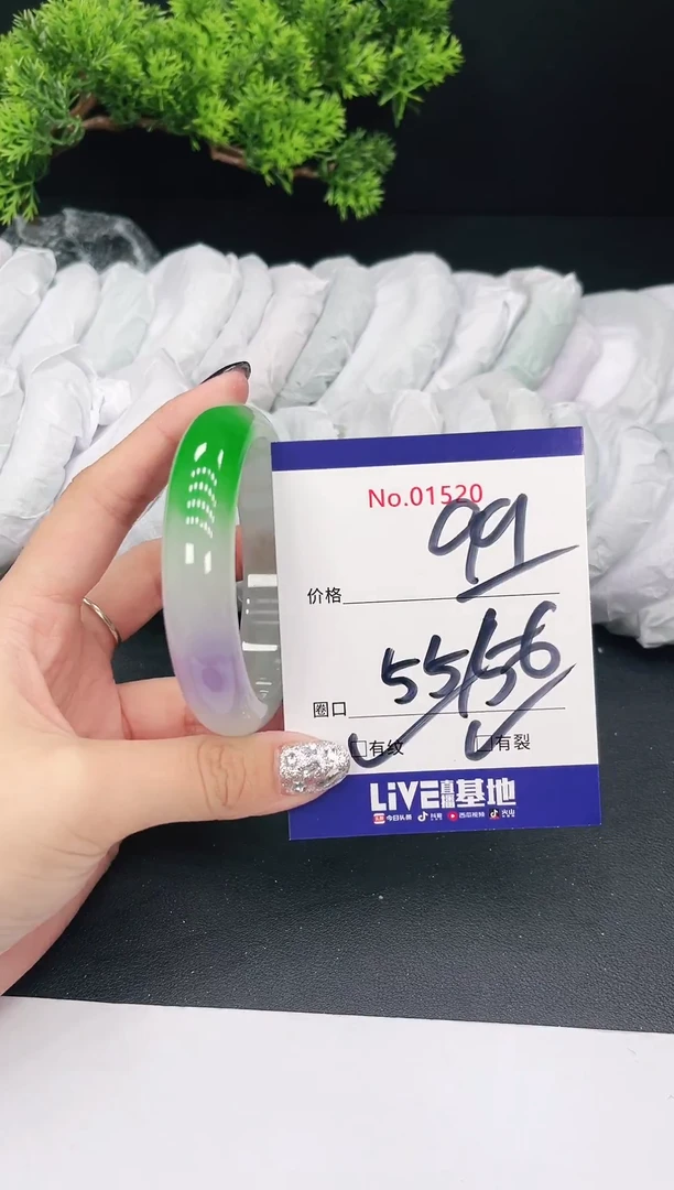 未镶嵌手镯翡翠01520