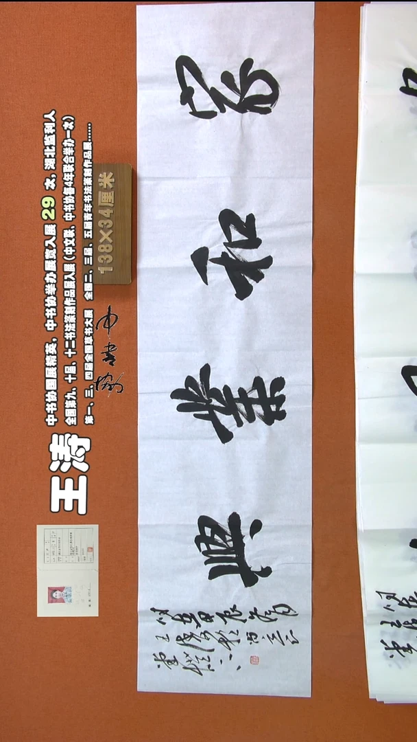 【闪购商品】书法376王涛书法作品