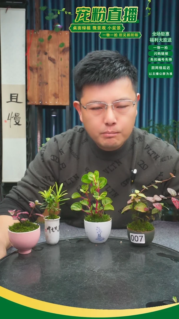 无花朵走*走苔藓微景观007号