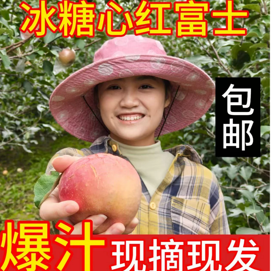 【农户直发】山西红富士苹果坡上产地直发阿克苏糖心脆甜应季水果
