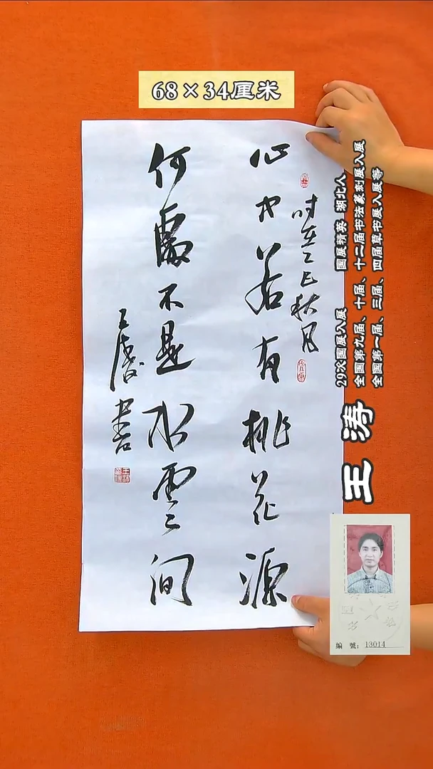 书法224R王涛书法作品