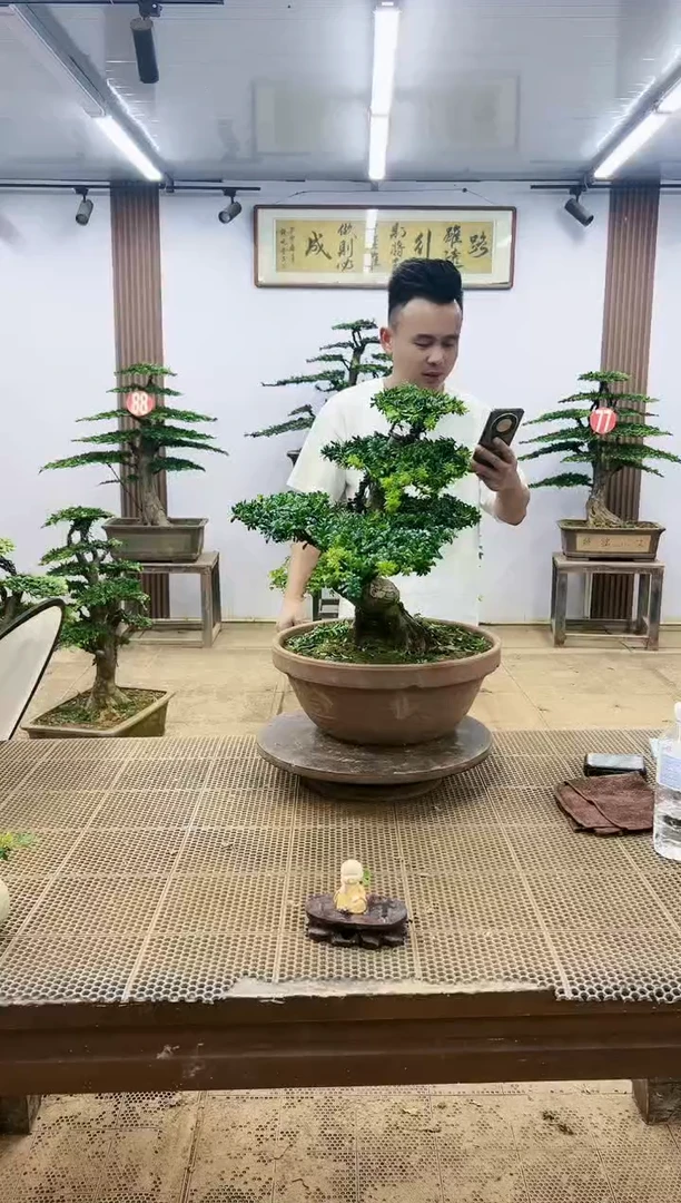 无花朵000000000000000000