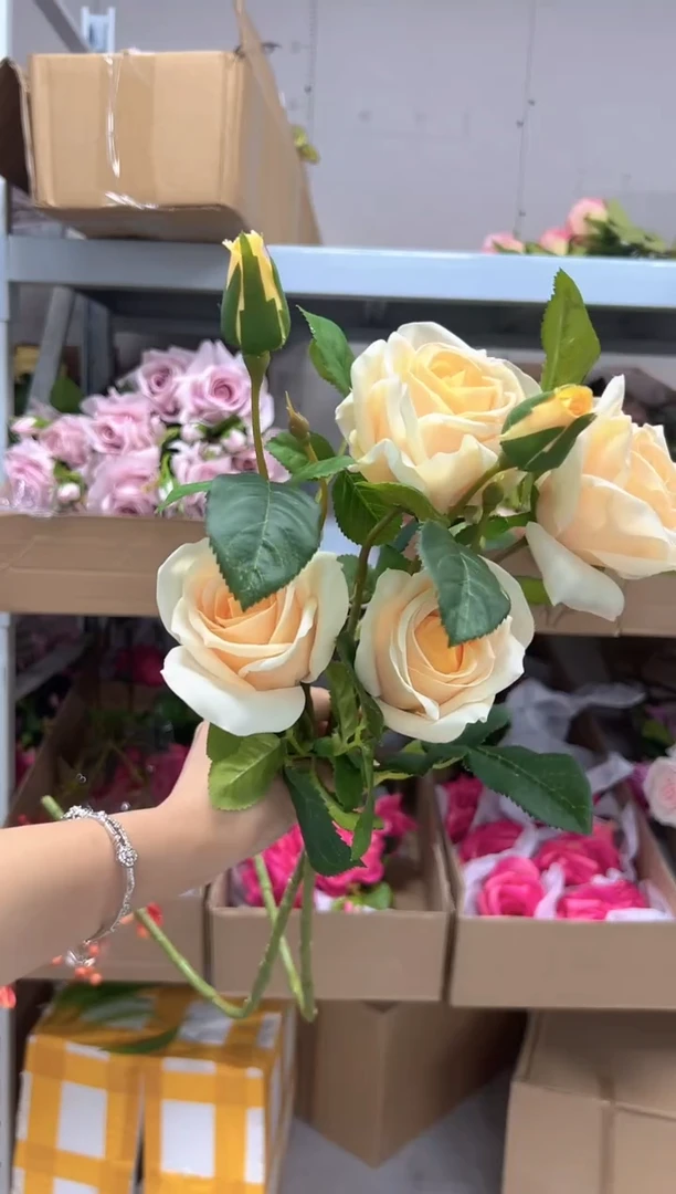 2枝香槟色手感圆多尔