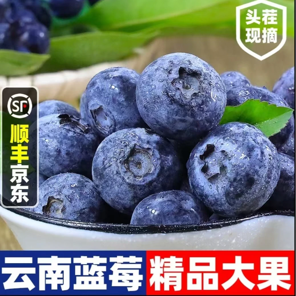 W【买3盒送3盒】云南澄江L25高品质蓝莓头茬现摘现发 京东空运