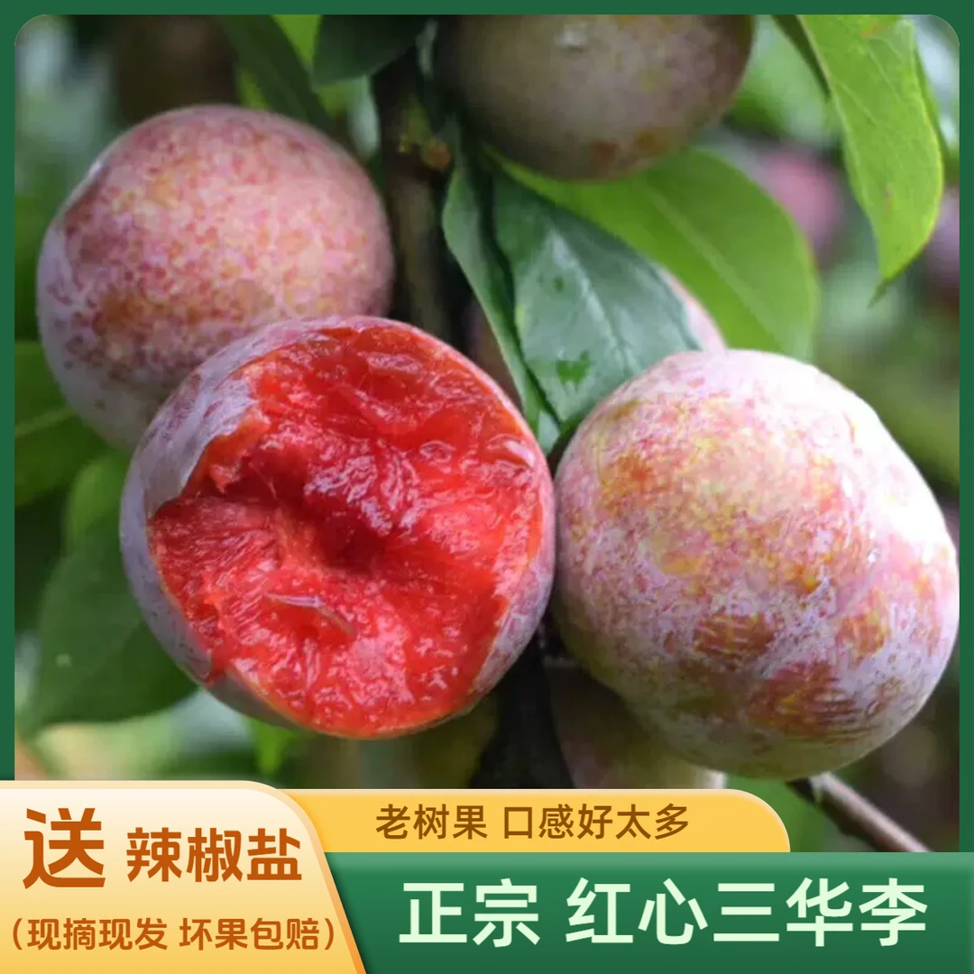 正宗应季红心三华李头茬大果李子水果鸡血李孕妇果甜酸整箱包邮