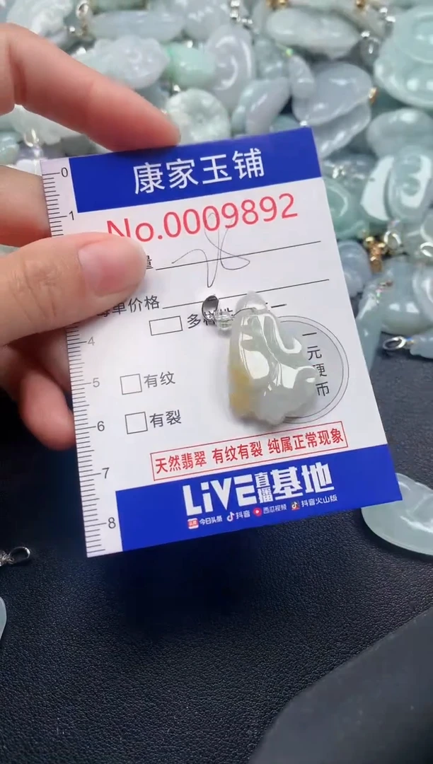 颈饰未镶嵌翡翠9892