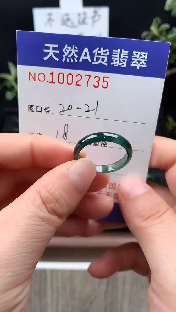 未镶嵌戒指翡翠20-21#