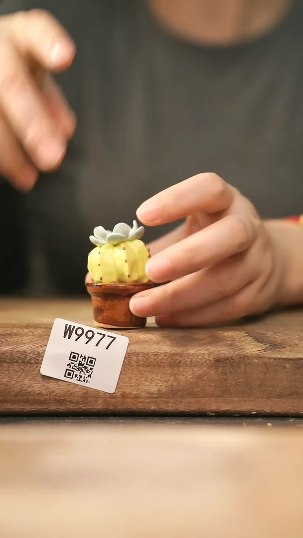 【经典福利】/ 摆件@@W9977