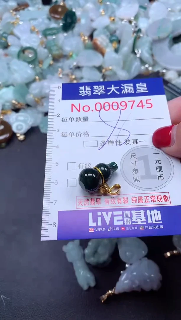 颈饰未镶嵌翡翠9745