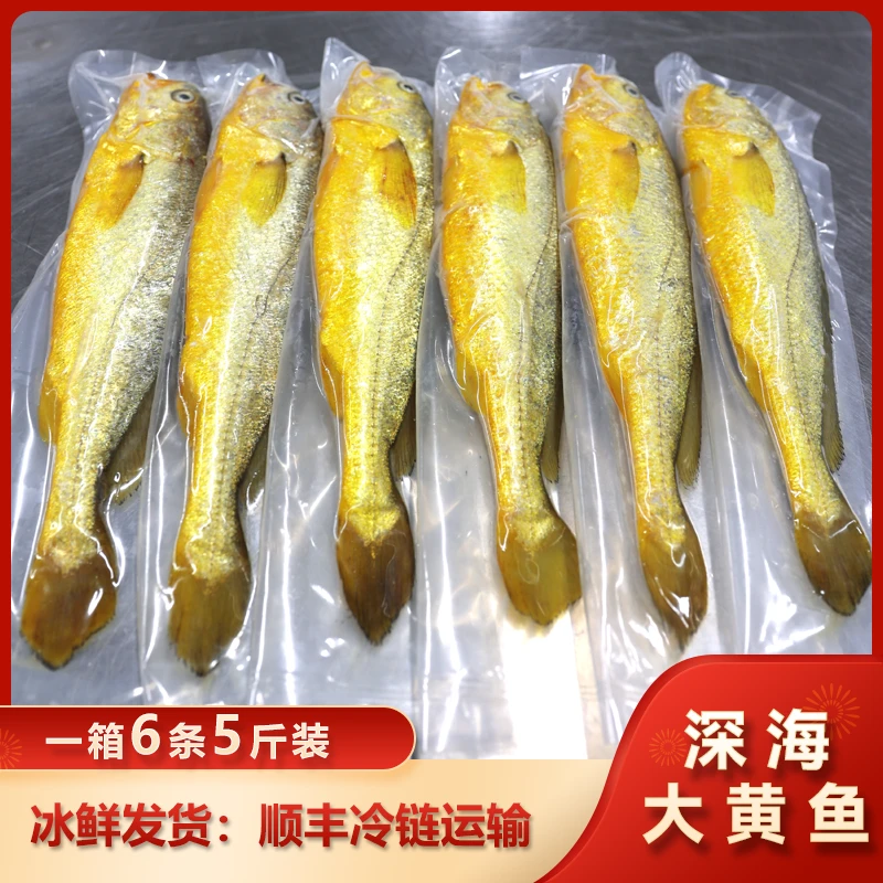 【直播推荐】拍5条发6条,宁德深海大黄鱼,冰鲜发货顺丰冷链包邮