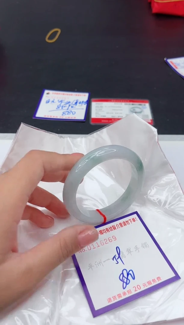 未镶嵌手镯翡翠11111111