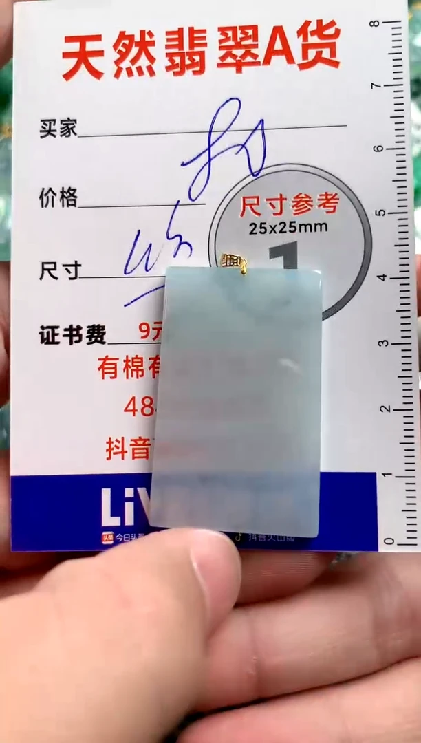 翡翠18K金镶嵌颈饰14005336