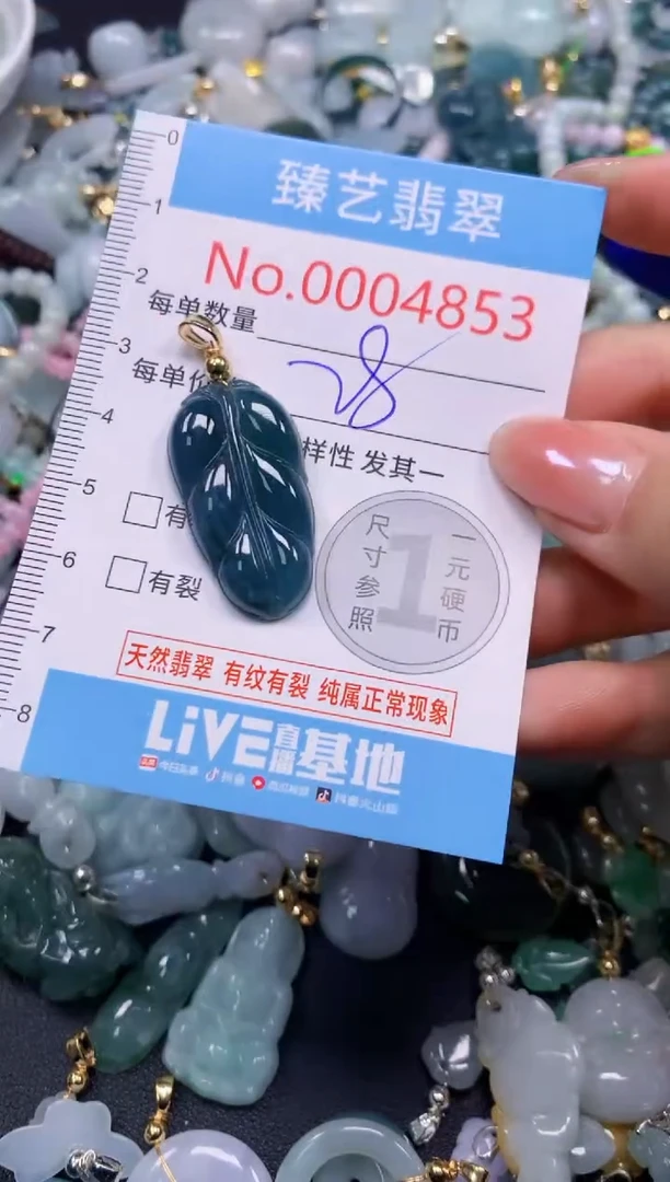 颈饰未镶嵌翡翠4853