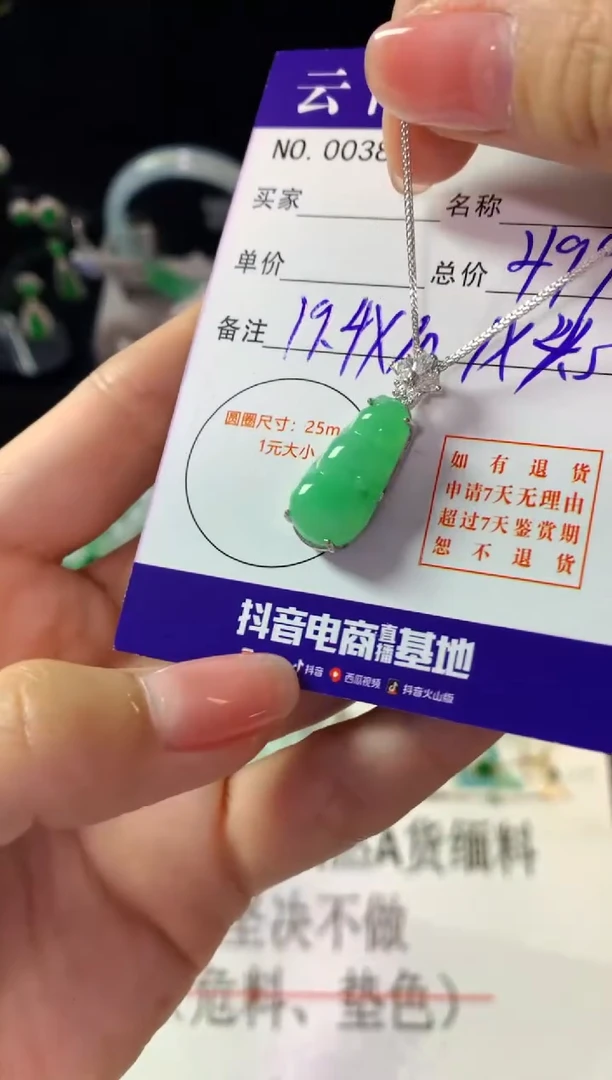 翡翠银S925镶嵌颈饰翡翠