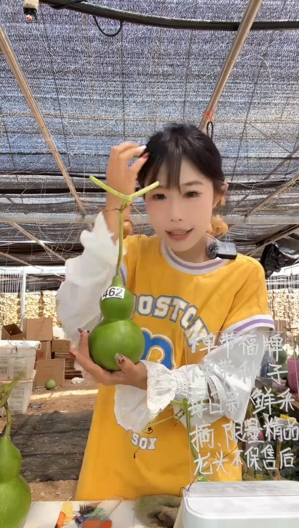 462天然葫芦摆件 一物一拍龙头不保售后