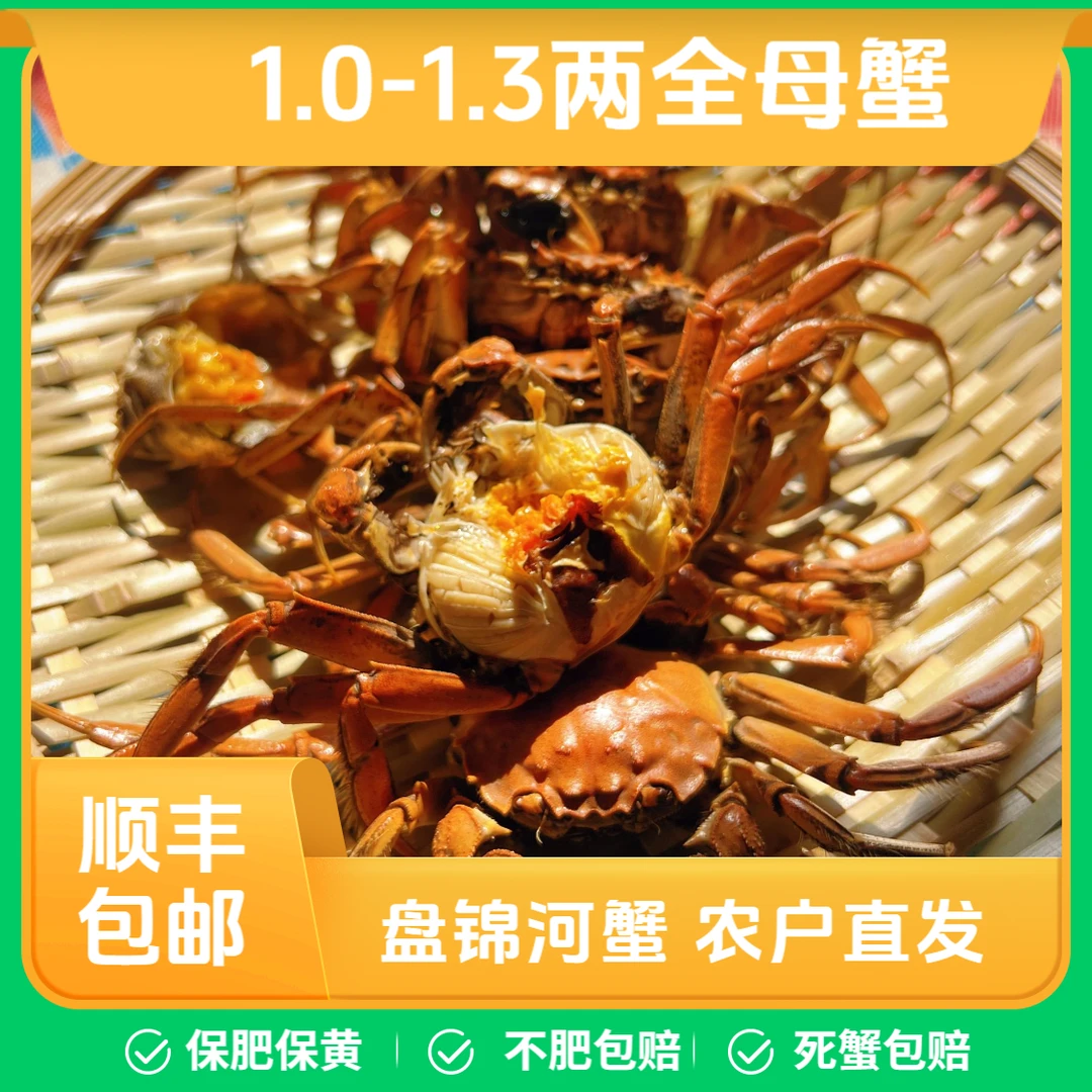 【全母活蟹】盘锦河蟹1.3-1两每只      2斤/3斤   顺丰包邮