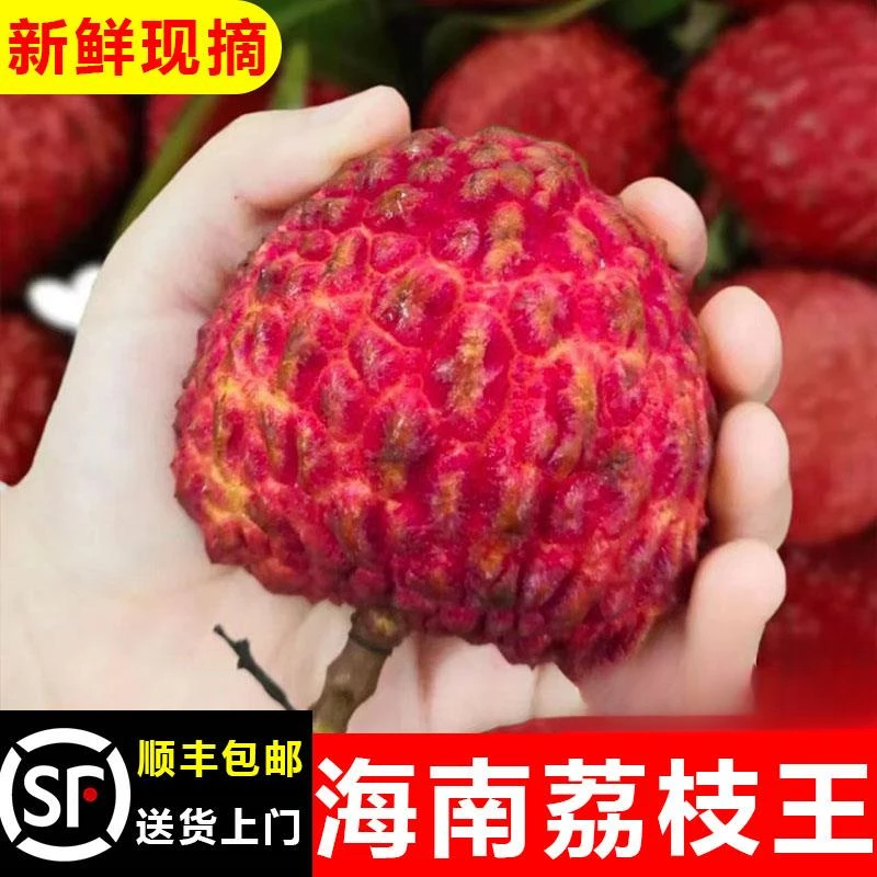 海南仙桃荔荔枝王新鲜现摘甜超大当季孕妇水果火山荔枝王整箱顺丰