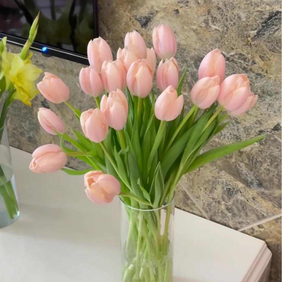 水蜜桃郁金香10支（家庭瓶插花）