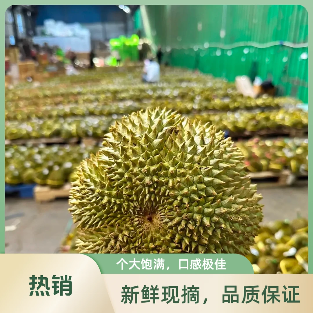 【GH顺丰包邮次日达】泰国A级甲仑鲜榴莲3-7斤（核大介意慎拍）甲仑泰国