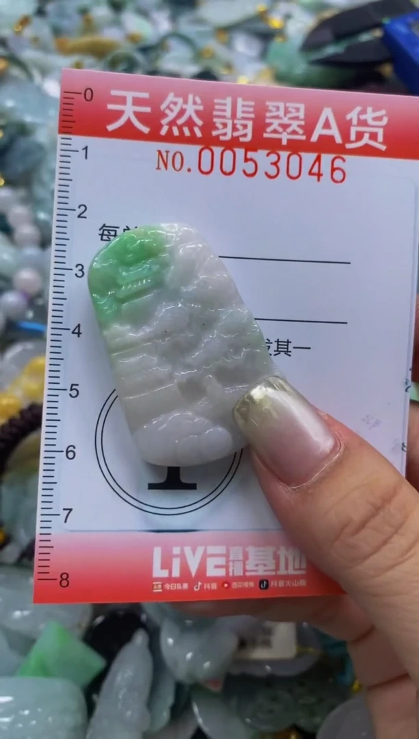 翡翠未镶嵌颈饰闪购0053046