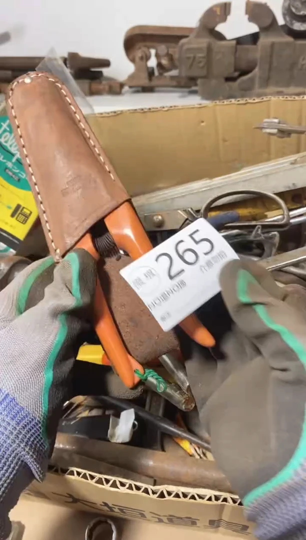 没**、有遐肆不退不换265