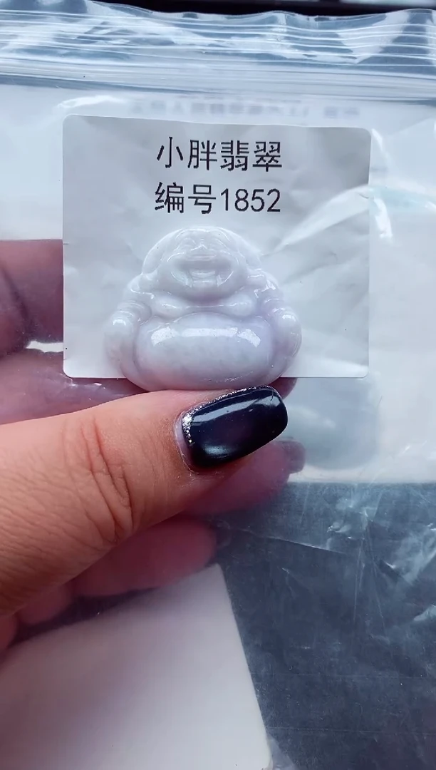 颈饰未镶嵌翡翠缅甸天然A货翡翠1852