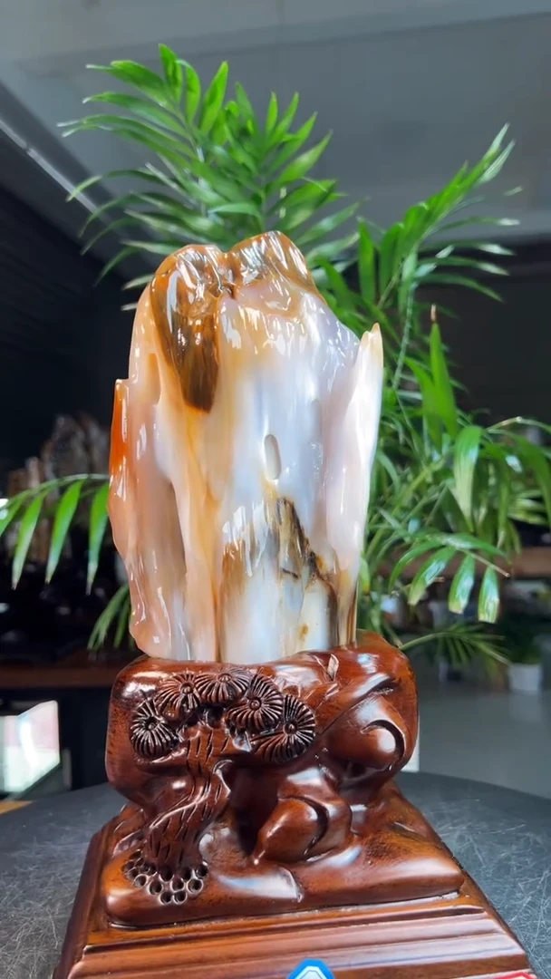 未镶嵌硅化玉（树化玉）珠宝奇石2212（高度29厘米）