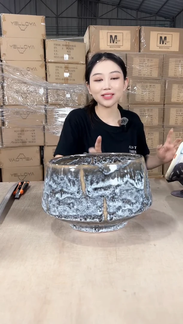 蝴蝶兰灰白大号21x15