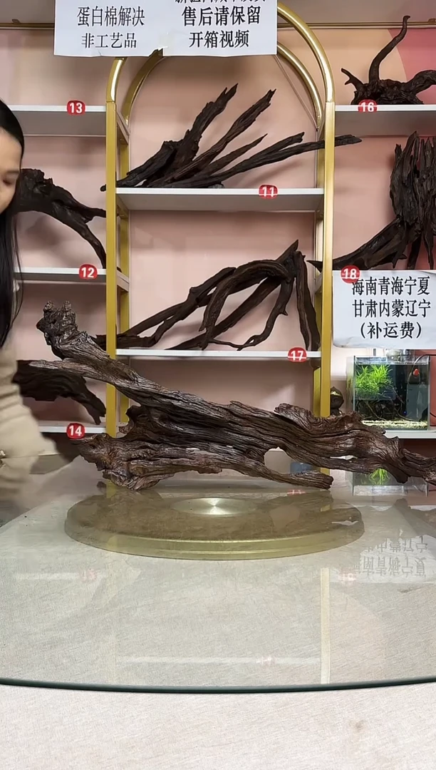 大*肚鱼缸造景沉木A047