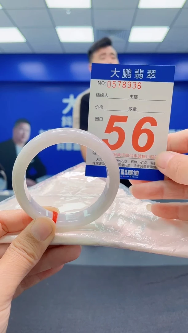 未镶嵌手镯翡翠AAAAAAAAA
