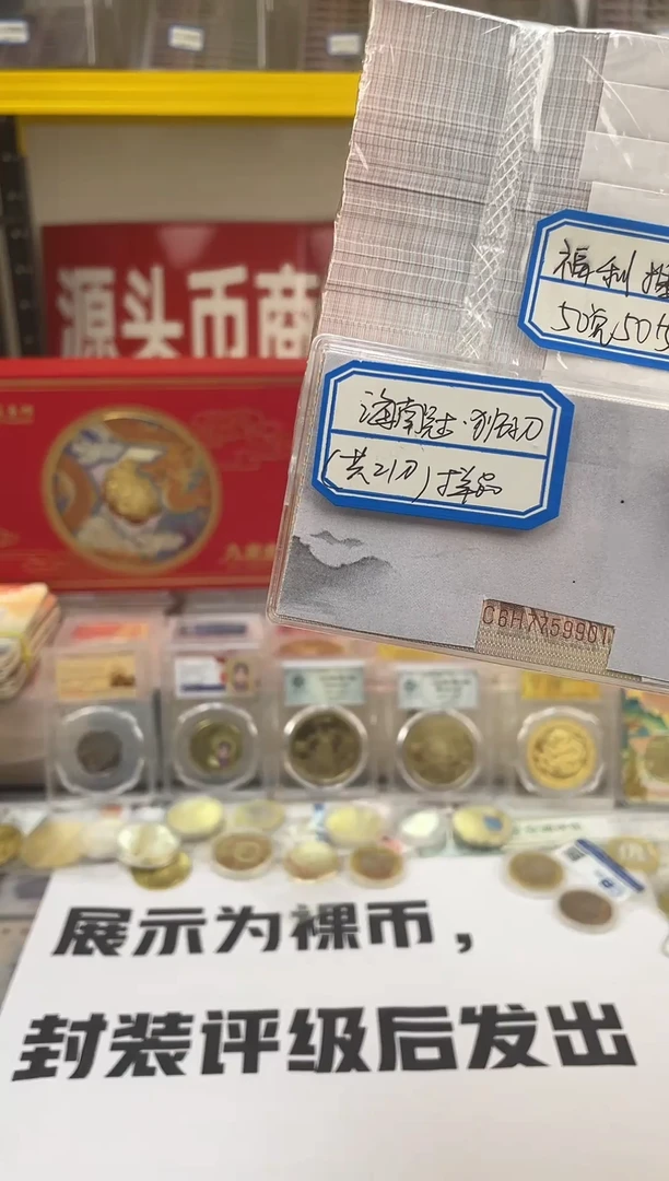 【01海南冠】狮子尾或带801标百