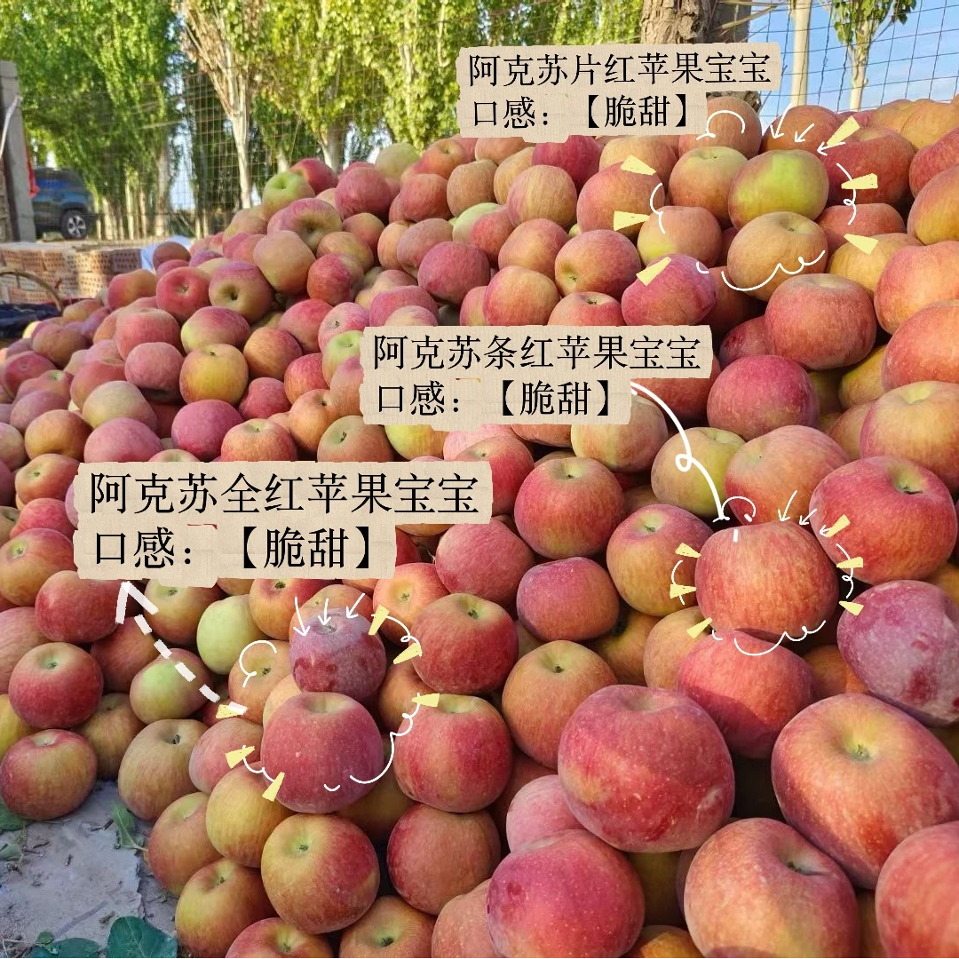 阿克苏冰糖心苹果8斤新疆直发顺丰包邮