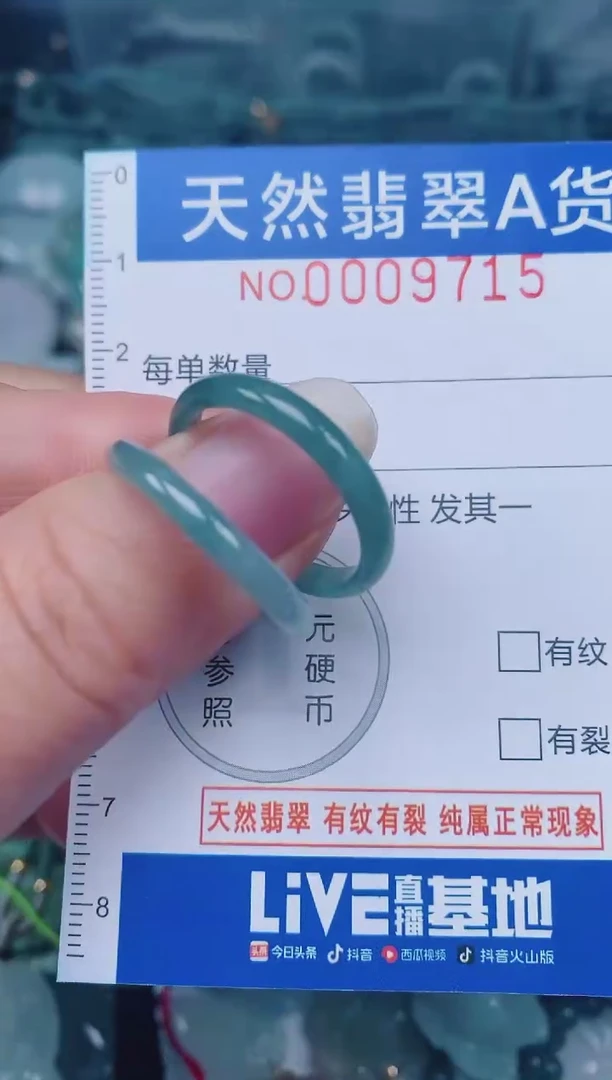 颈饰未镶嵌翡翠00009715