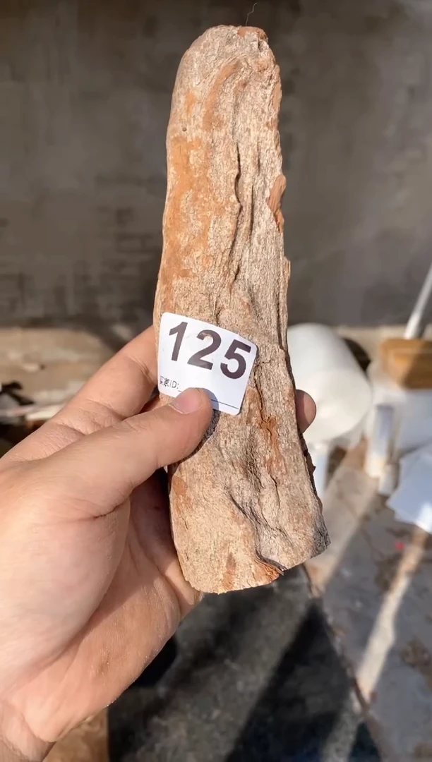 【闪购商品】柏木太行陈化崖柏（津诚林）切片