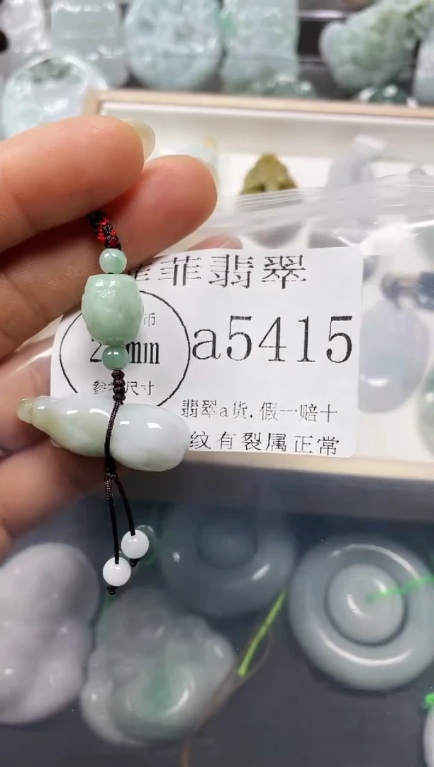 【闪购商品】翡翠颈饰未镶嵌闪购5415