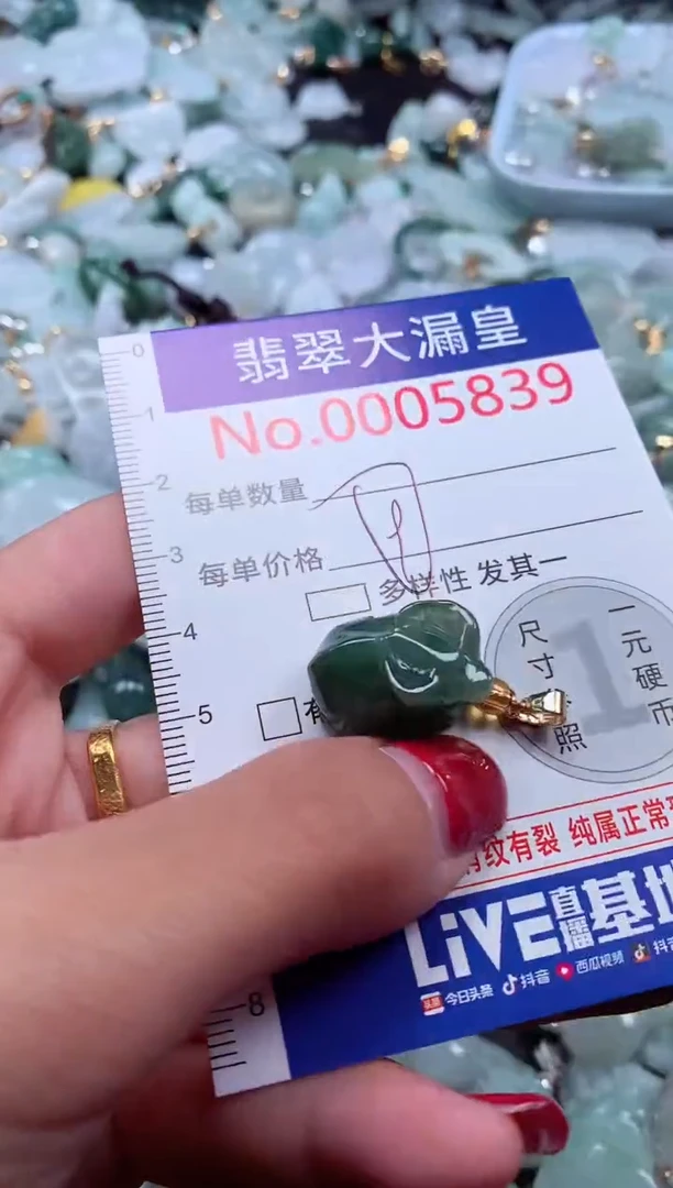 颈饰未镶嵌翡翠5839