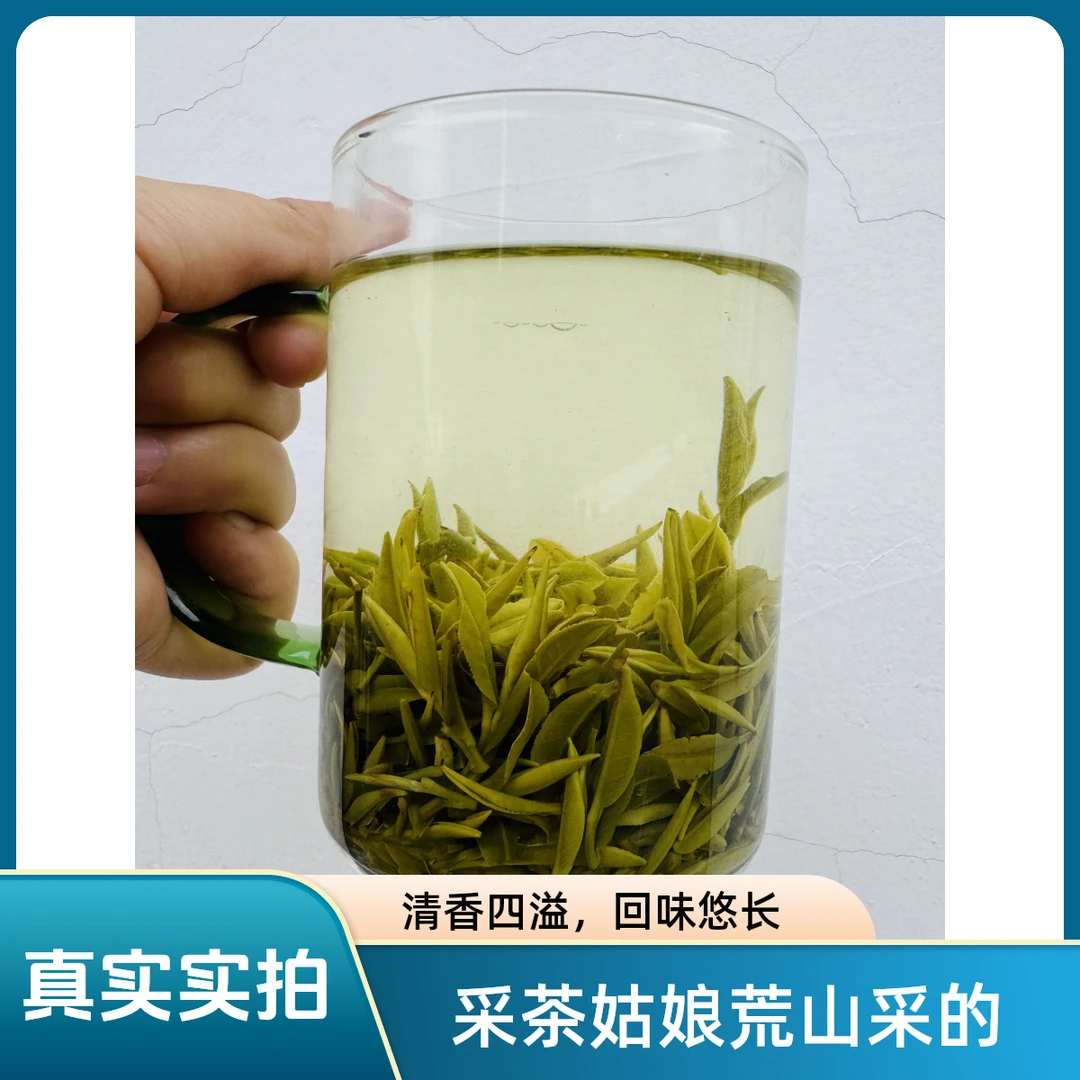 8采茶姑娘荒山生长的黄芽茶纯手工采的老师傅精制品质