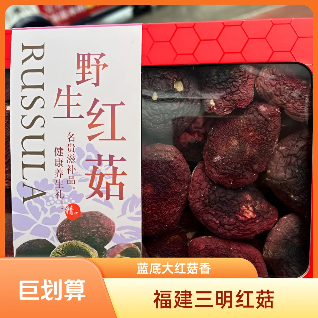 福建三明蓝底大红菇当季新货香菇红海产品红椎菌干货月子菇红菇