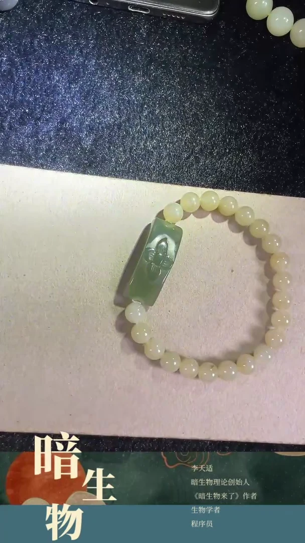 【闪购商品】和田玉吊坠(赠链)未镶嵌手串