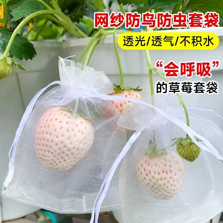 瓜果防虫套装防鸟防虫纱网水果套袋葡萄桃子无花果瓜果防虫套袋