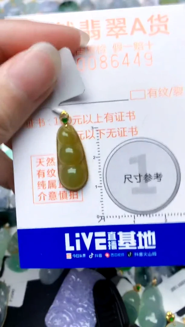 颈饰18K金镶嵌翡翠天然A货翡翠