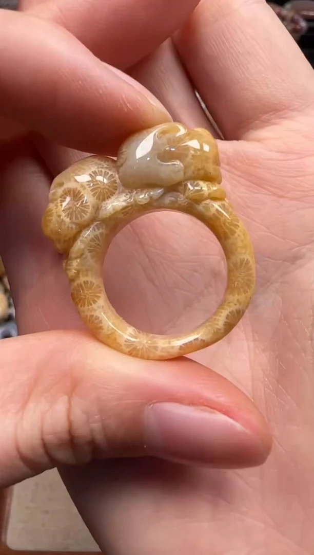 【闪购商品】硅化珊瑚（珊瑚玉）颈饰未镶嵌522