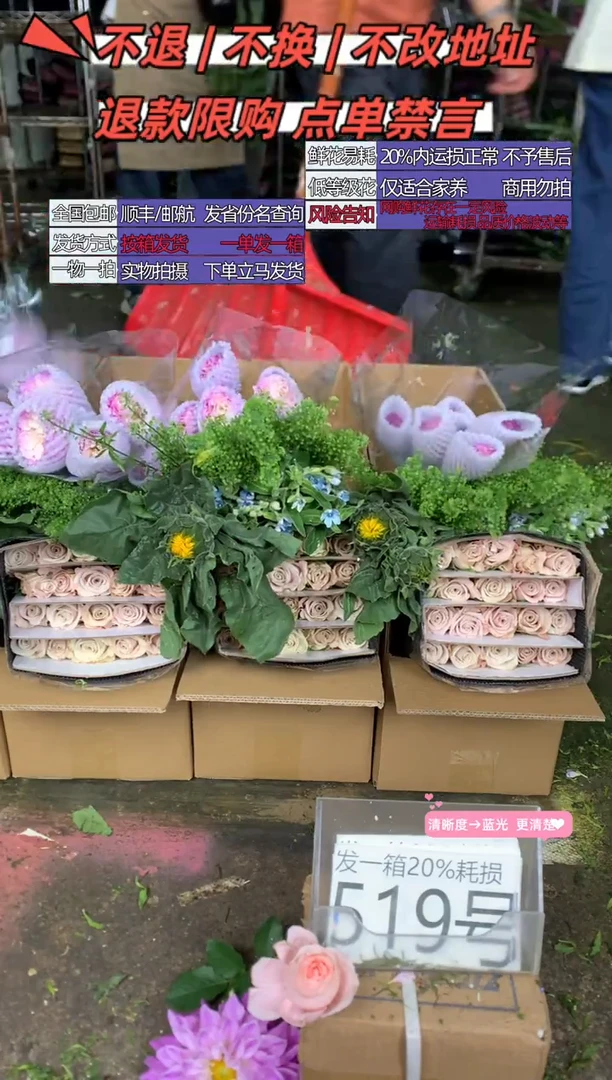 519号♥含20%耗损发一箱