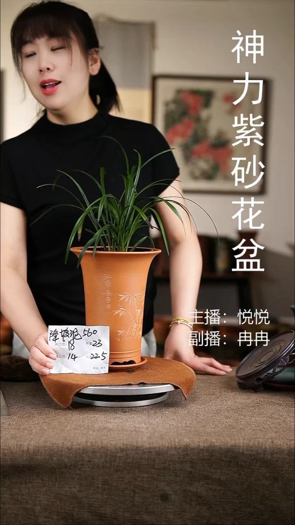 紫砂花盆紫砂花盆560+z