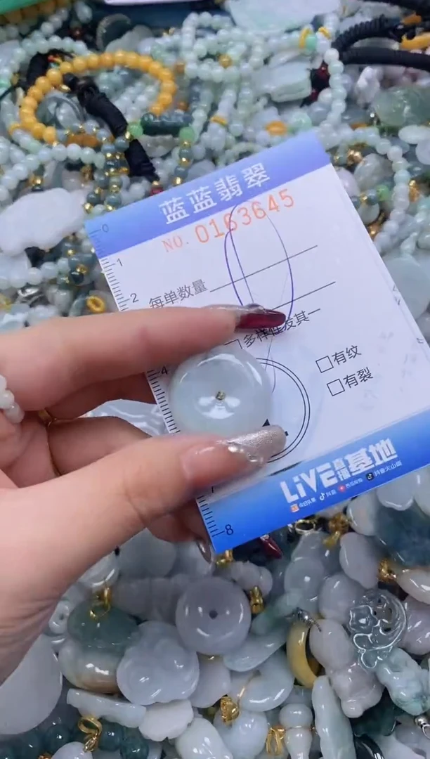 【闪购商品】翡翠颈饰未镶嵌闪购0163645多样性发其一