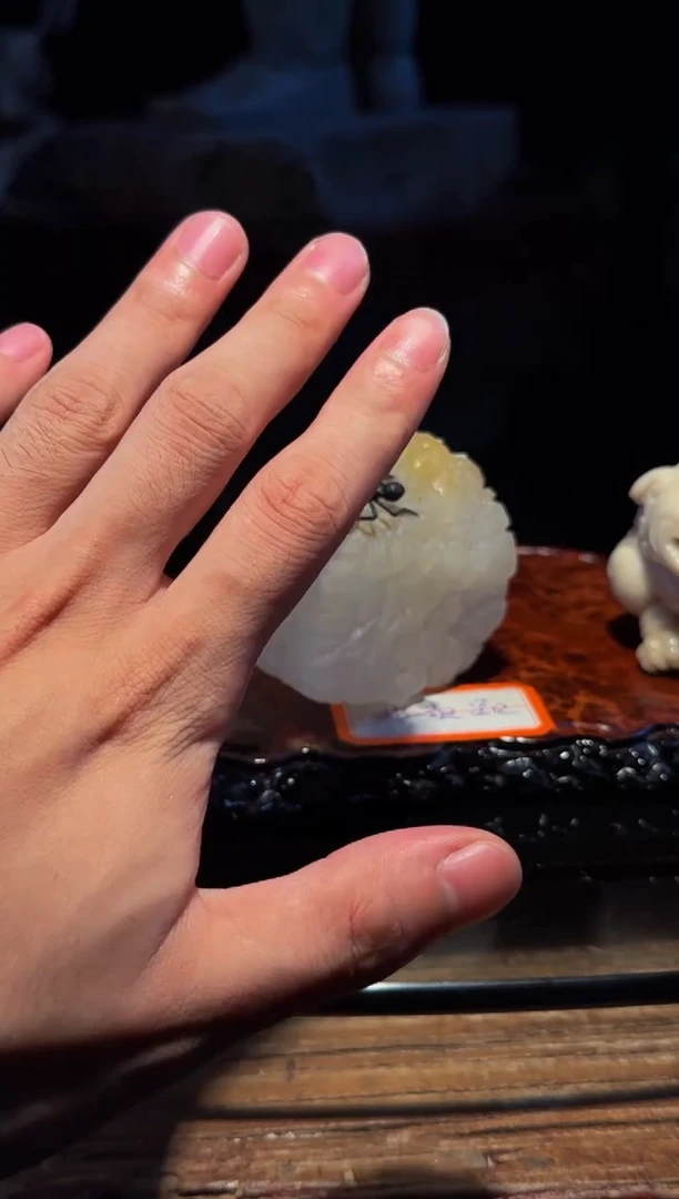 小**张摆件盘玩把玩茶宠