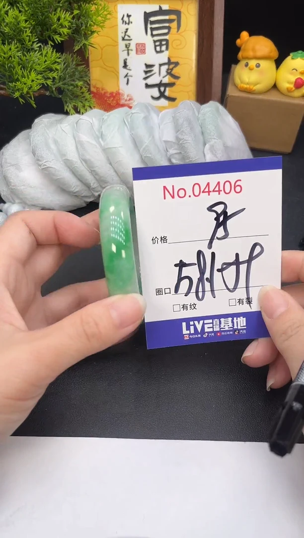 未镶嵌手镯翡翠4406
