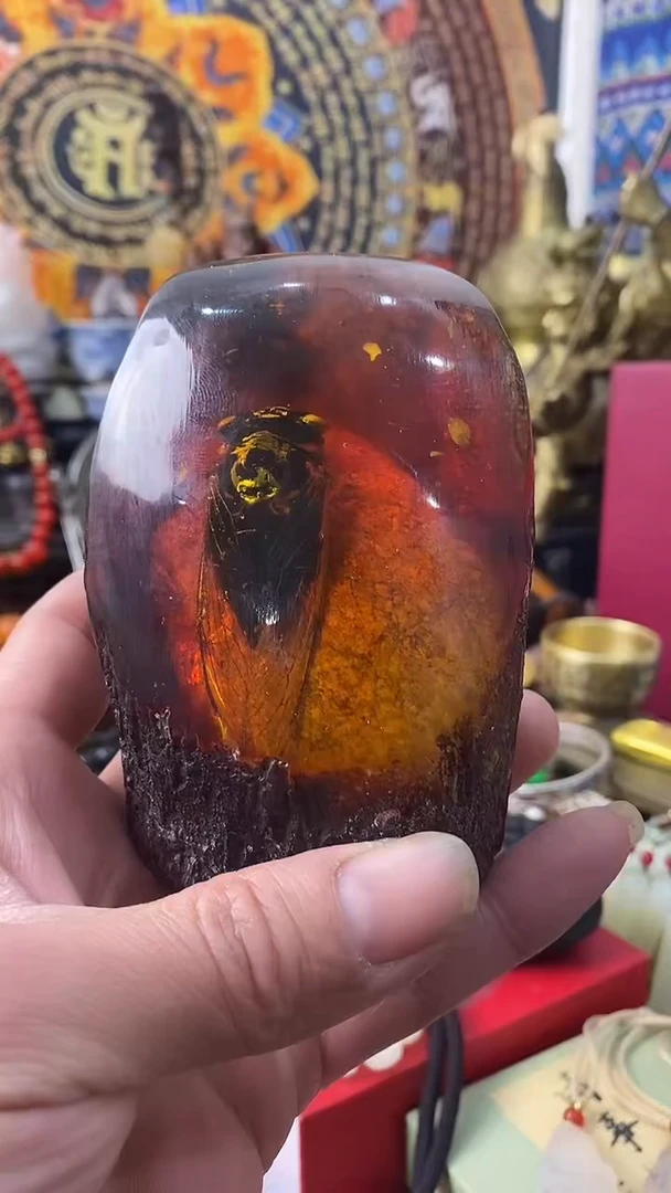 琥珀未镶嵌珠宝奇石-----主播推荐-------